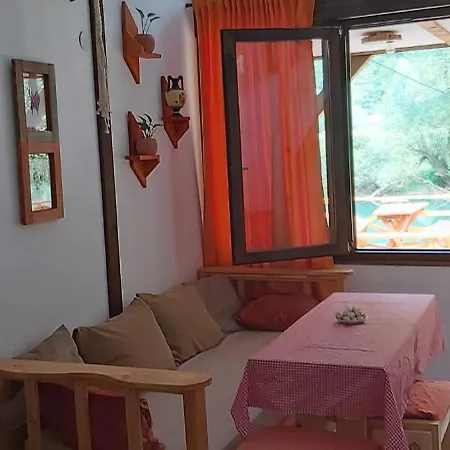 Sladojevic Na Plivi *