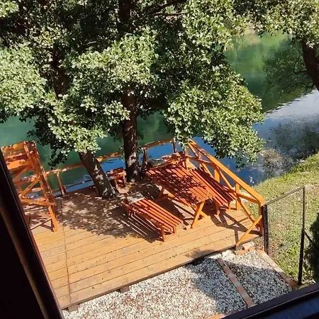 Sladojevic Na Plivi *