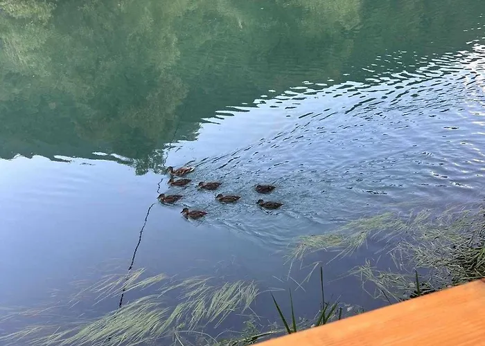 公寓 Sladojevic Na Plivi *