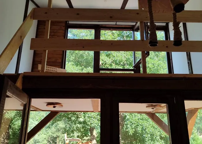 Sladojevic Na Plivi *