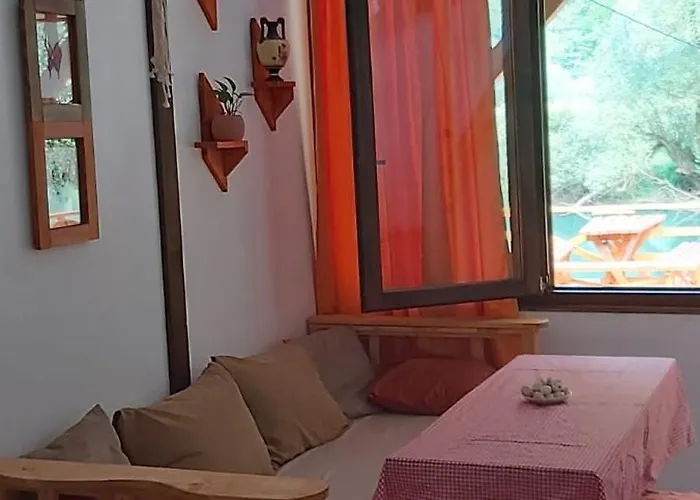 Sladojevic Na Plivi *