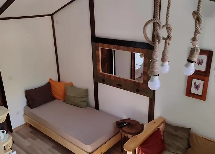 Sladojevic Na Plivi *