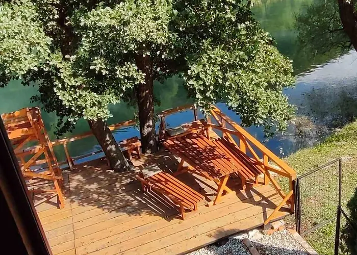 Sladojevic Na Plivi *